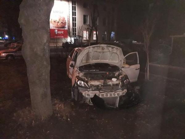 В Ставрополе автоледи на «Лифане» врезалась в придорожное дерево